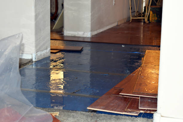 Professional Burst Pipe Cleanup technician working in Yorkville, IL